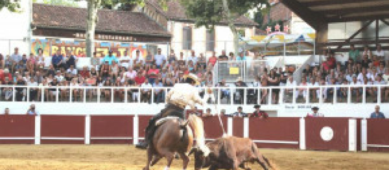 Corrida portugaise à Cazaubon
