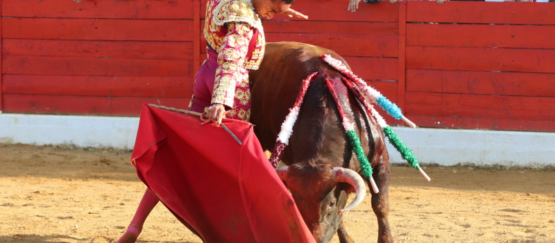 Brillant bilan de la feria de Riscle: rencontre avec le tendido risclois