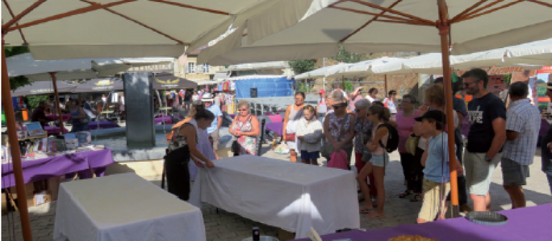 Le Floc de Gascogne fête Toulouse