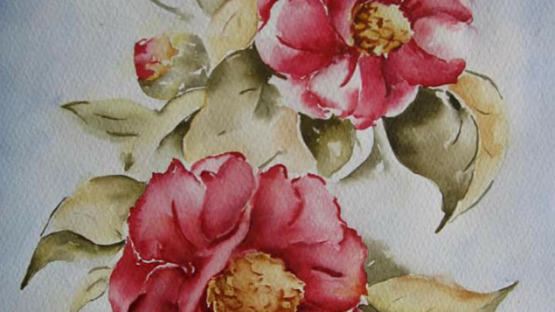 Aquarelle & Cie