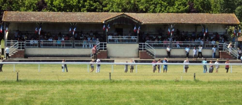 Réunion hippique samedi 
