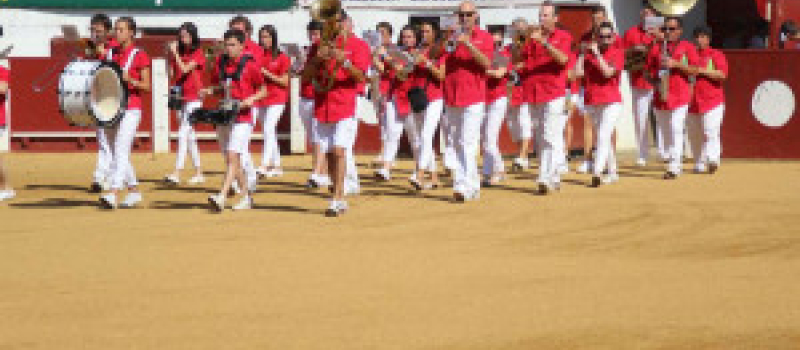 Course landaise