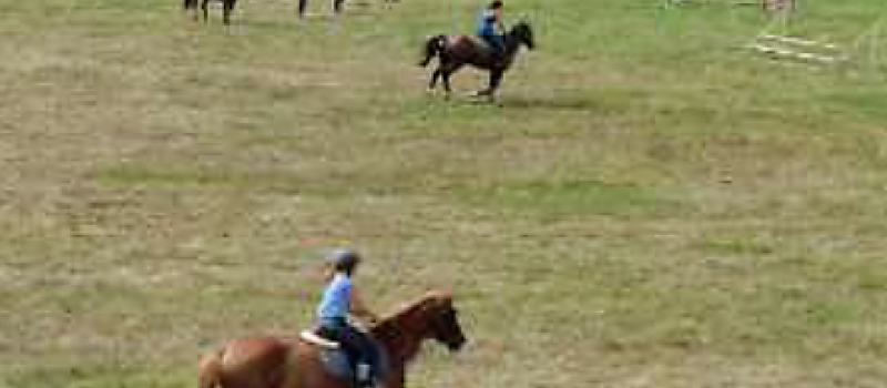Fête du cheval