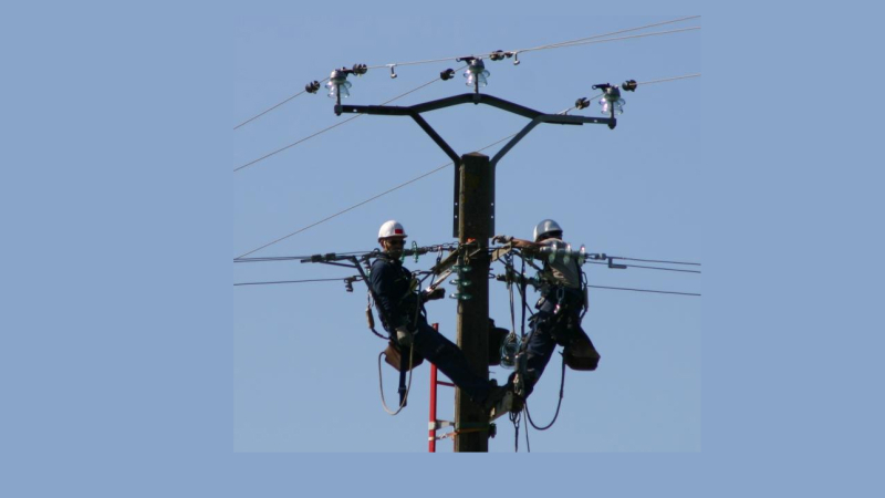 Travaux d’élagage par RTE 