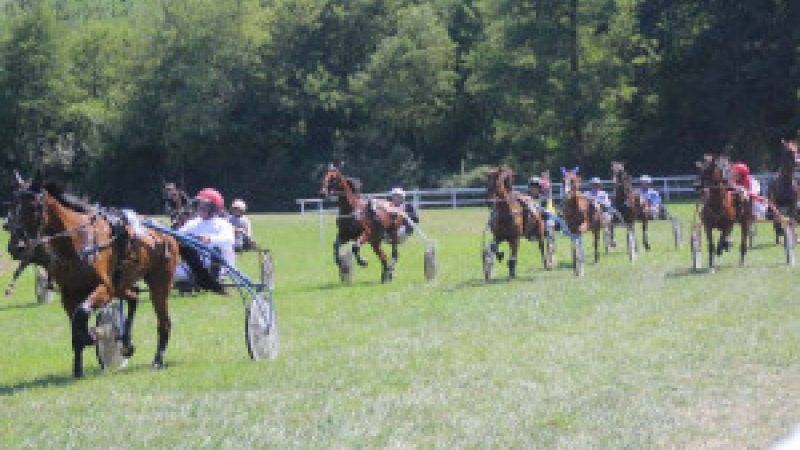 Courses de chevaux et escargolade