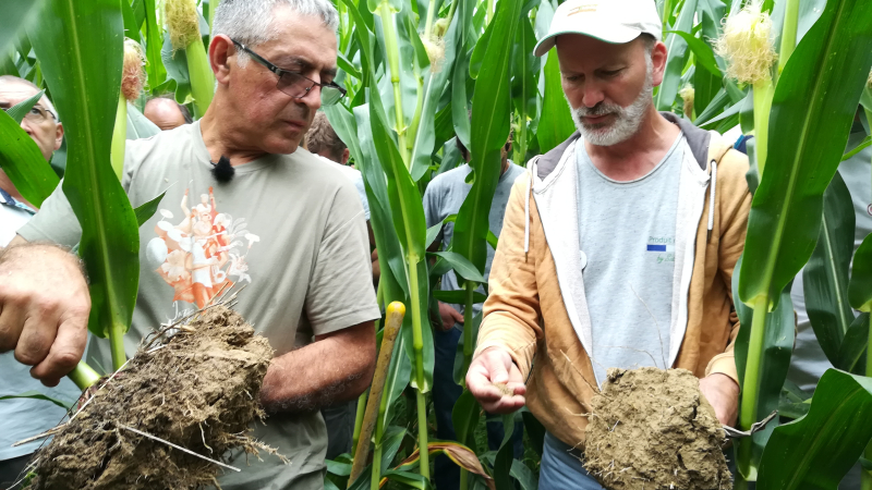 Agriculture : produire et protéger 