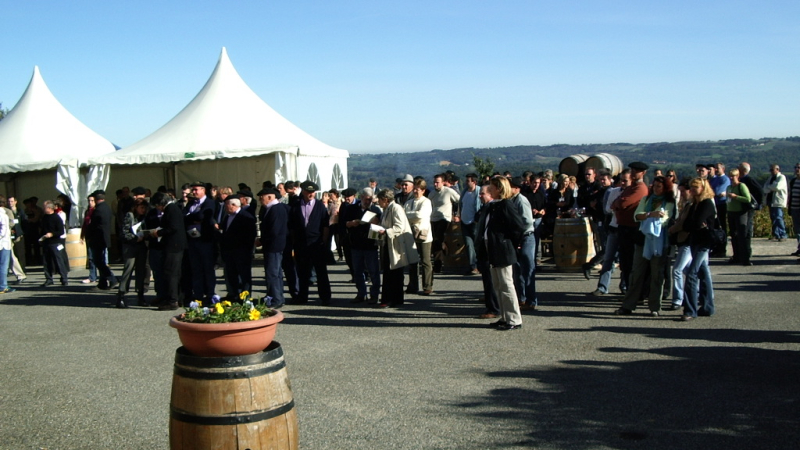 Un grand blanc en or
