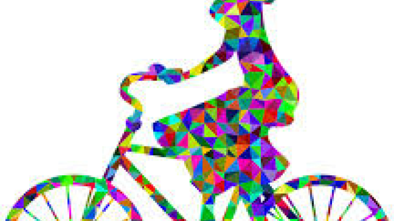 Randonnée vélo féminine