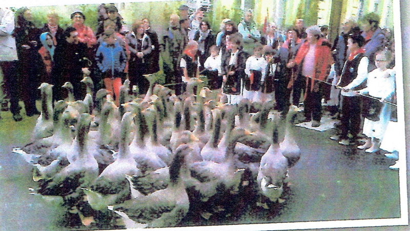 La foire aux oies 11ème édition 21 octobre à Riguepeu
