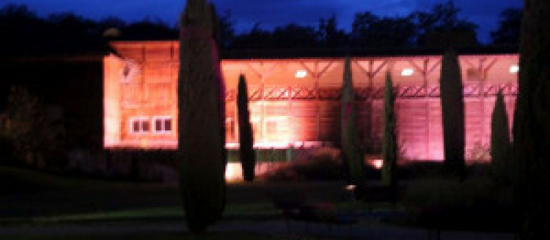 Les Thermes en rose