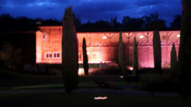 Les Thermes en rose