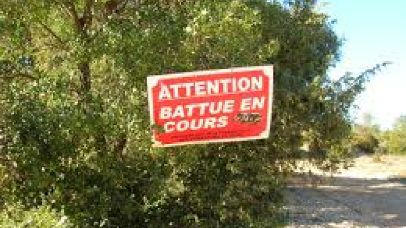 Découverte de la chasse