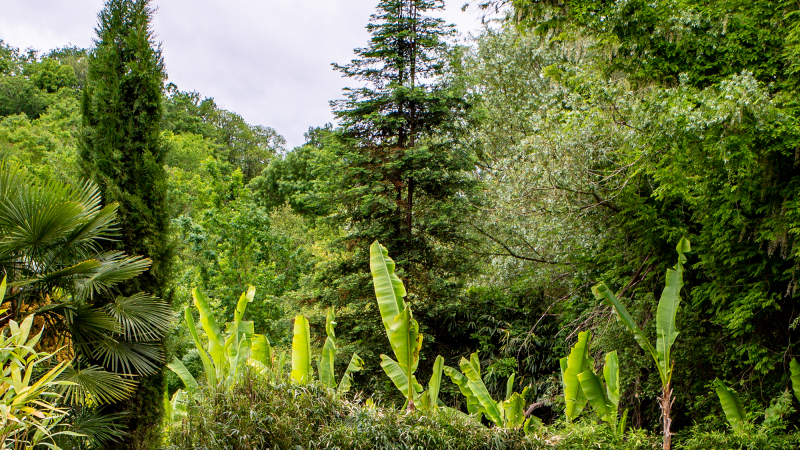Voter jusqu’au 31 octobre pour le projet de la Palmeraie de Bétous  