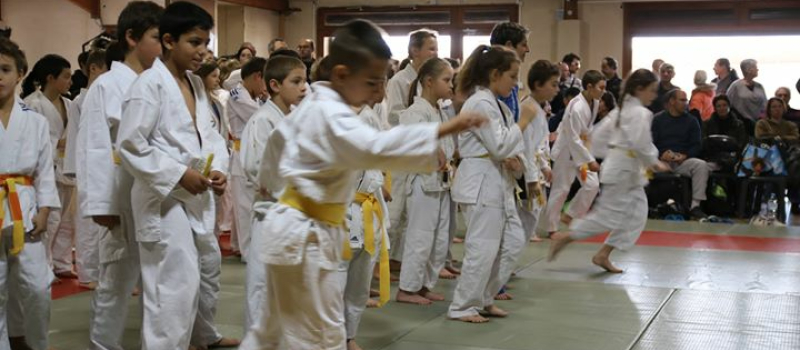 Critérium départemental de judo - Catégories benjamins, poussins et mini-poussins 