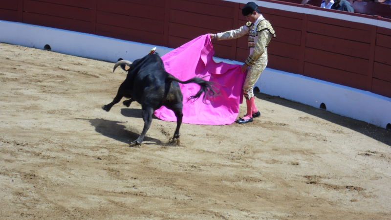 Le palmarès 2018 Sud Ouest des chroniqueurs taurins