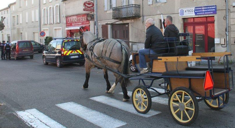 Cet automobiliste a trouvé une solution 