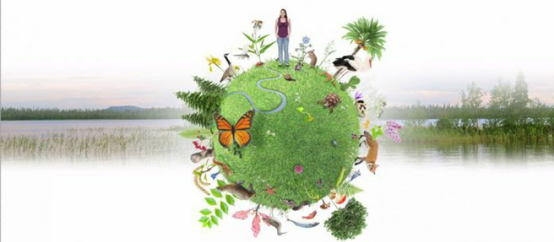 Conférence biodiversité pour les nuls