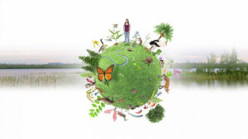 Conférence biodiversité pour les nuls