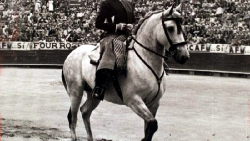 Tauromachie