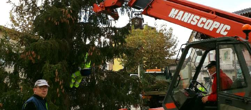 Première étape pour le sapin. 