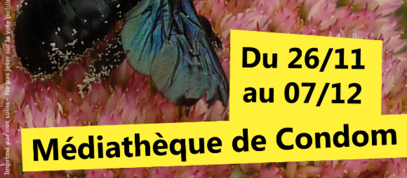 Un hôtel particulier réservé aux insectes
