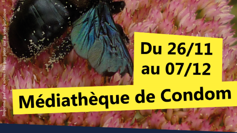 Un hôtel particulier réservé aux insectes