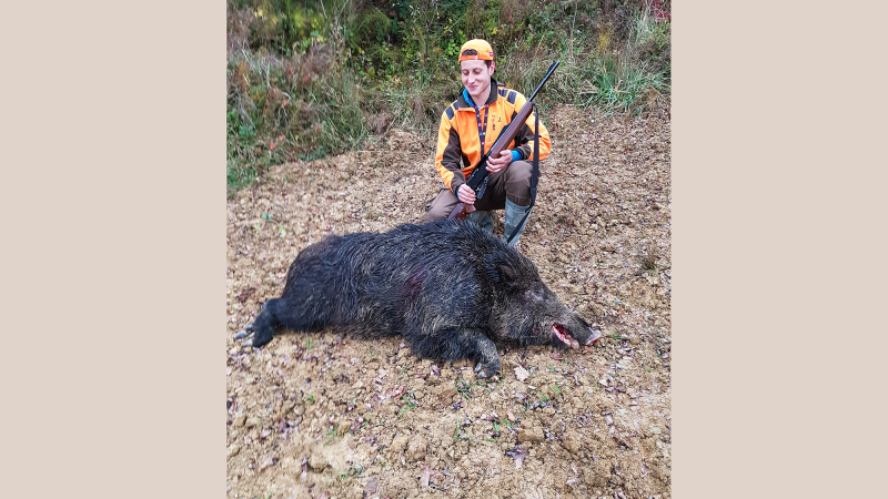 Un sanglier exceptionnel abattu à Pouydraguin  
