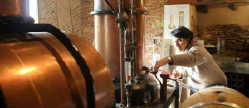 Armagnac et art pour le plaisir