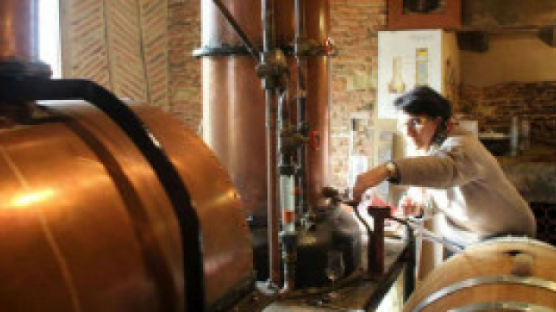 Armagnac et art pour le plaisir