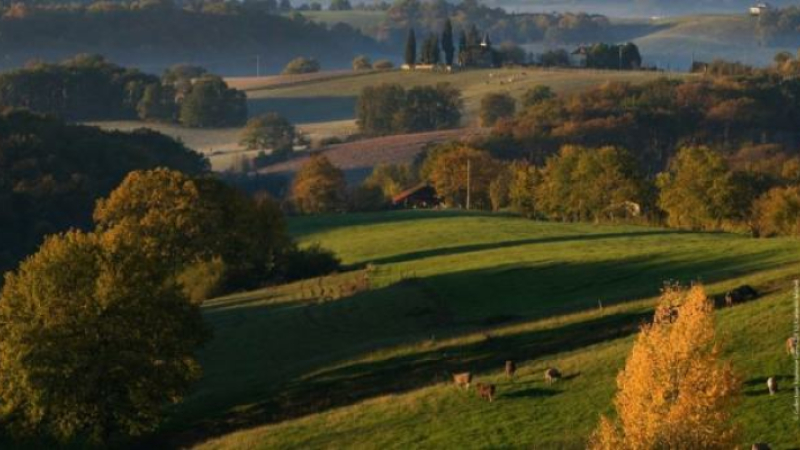 AG Arbre et Paysage 32