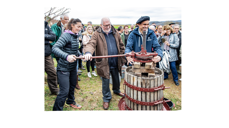 (1) Vendangeurs du Pacherenc de l’Hivernal à Arrosés et Crouseilles  