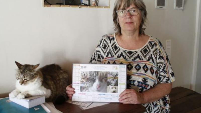 Loto de la double chance et pour les joueurs et pour les chats