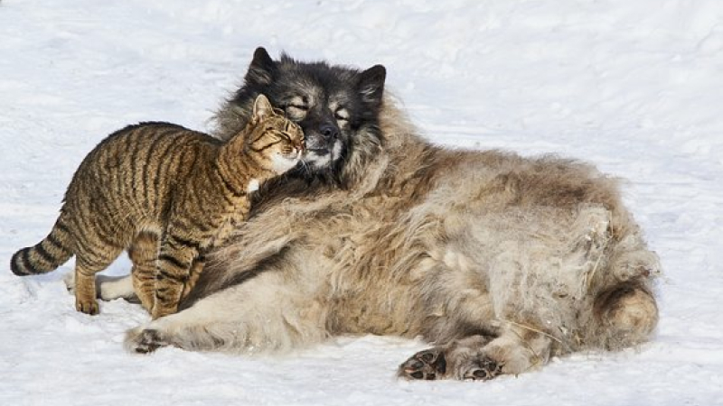 Parlez d'amour... sous toutes ses formes