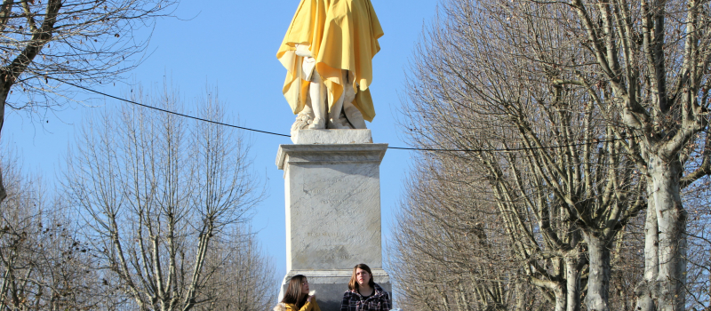 Insolite Gilet Jaune