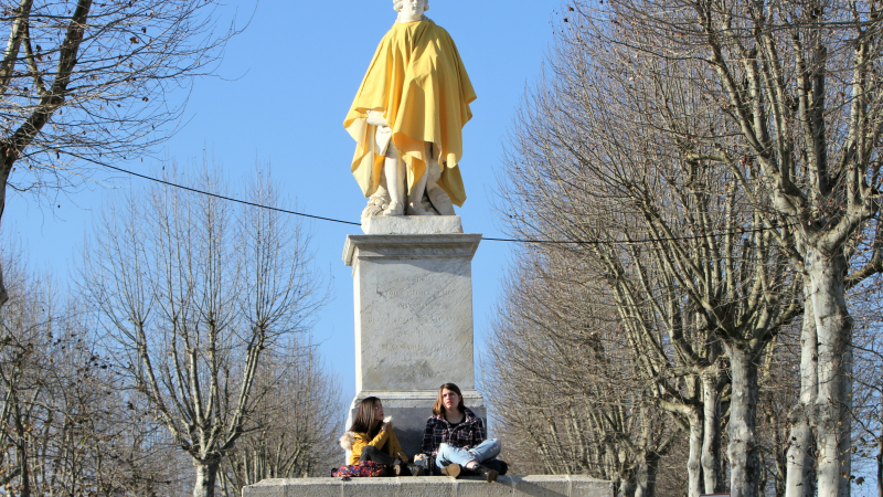 Insolite Gilet Jaune