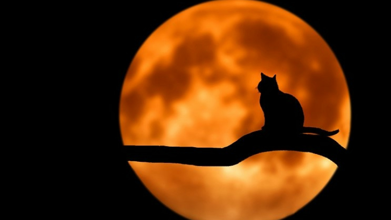 Cache-cache lunaire