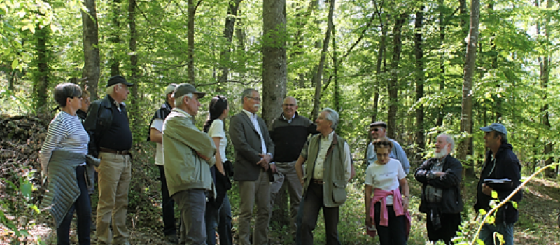 Rencontres forestières