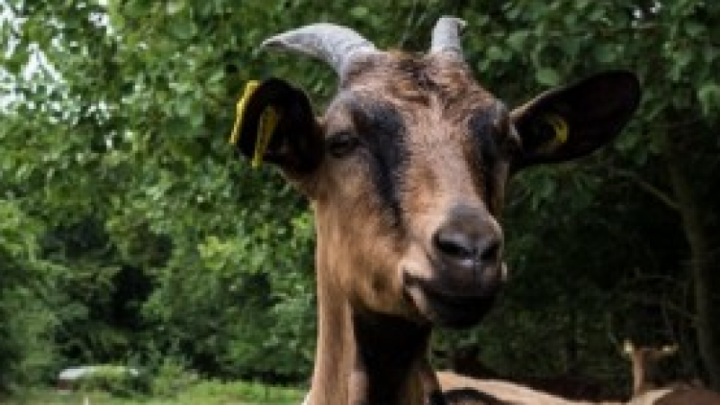 Sortie nature 2019 avec le CPIE Pays Gersois