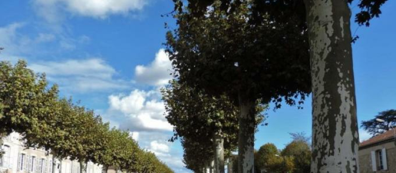 Réunion de l'ASPPAR