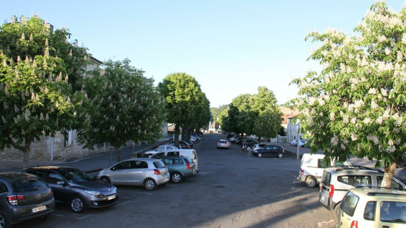Deux réunions pour parler du projet des Promenades