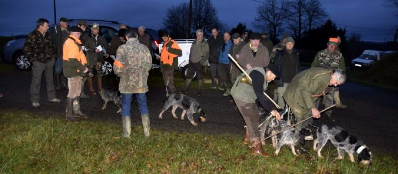 Un brevet de chasse pour évaluer les chiens de meute 