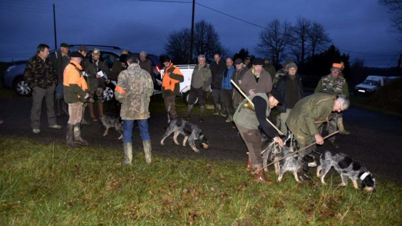 Un brevet de chasse pour évaluer les chiens de meute 