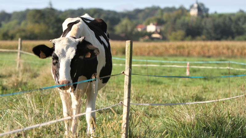 Agriculture : les prochaines manifestations