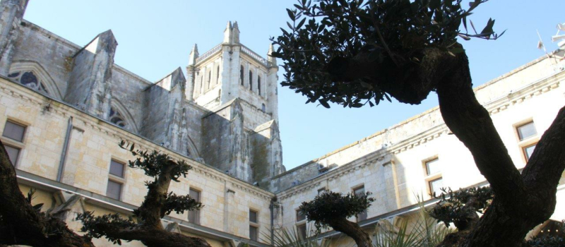 Troiscèdres du Liban : une journée idéale pour leur plantation