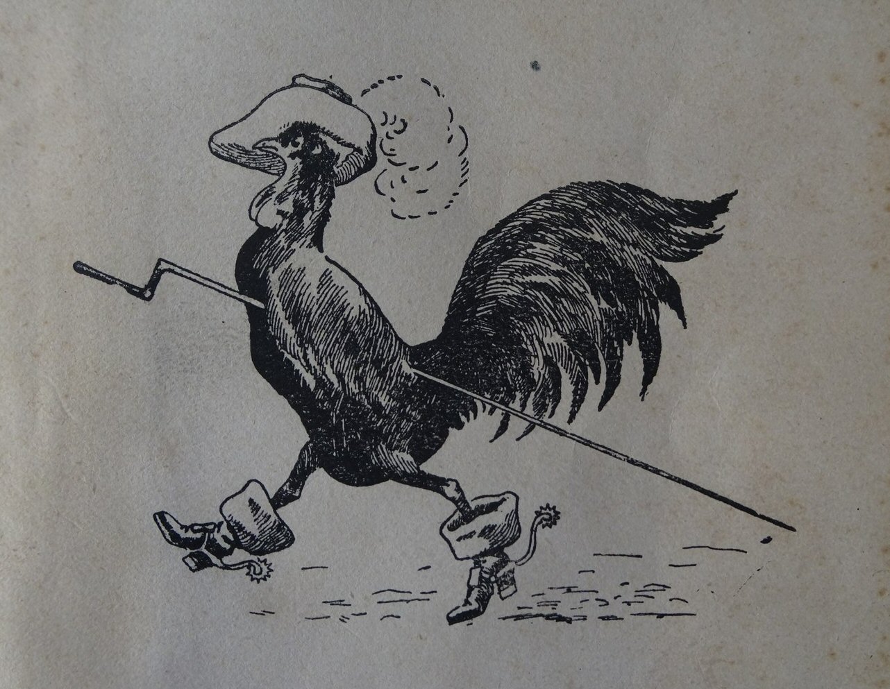 D'Artagnan n'aurait pas renié notre poule gasconne ! 