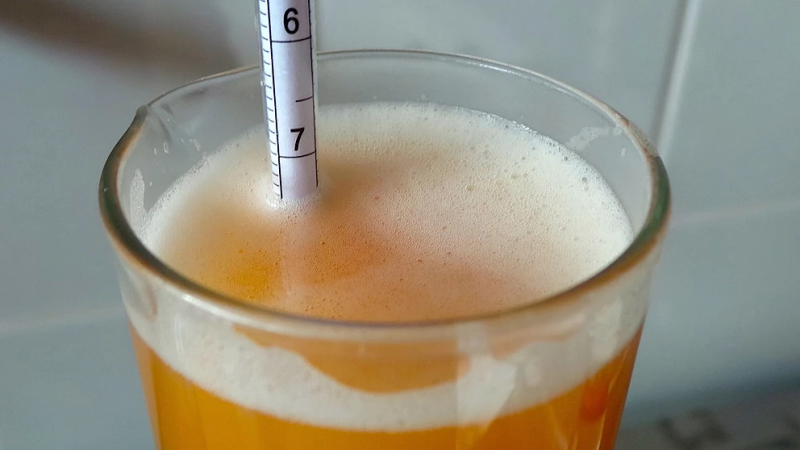 Venez apprendre à brasser votre bière ! 