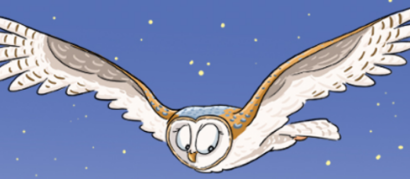 Sortie nature à la découverte des rapaces nocturnes