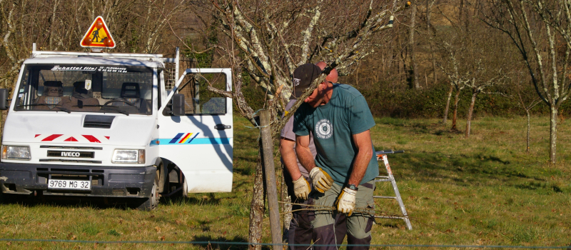 Des travaux de taille au verger des "Hespérides"