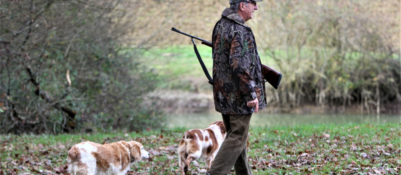 Dossier chasse : un tour d'horizon