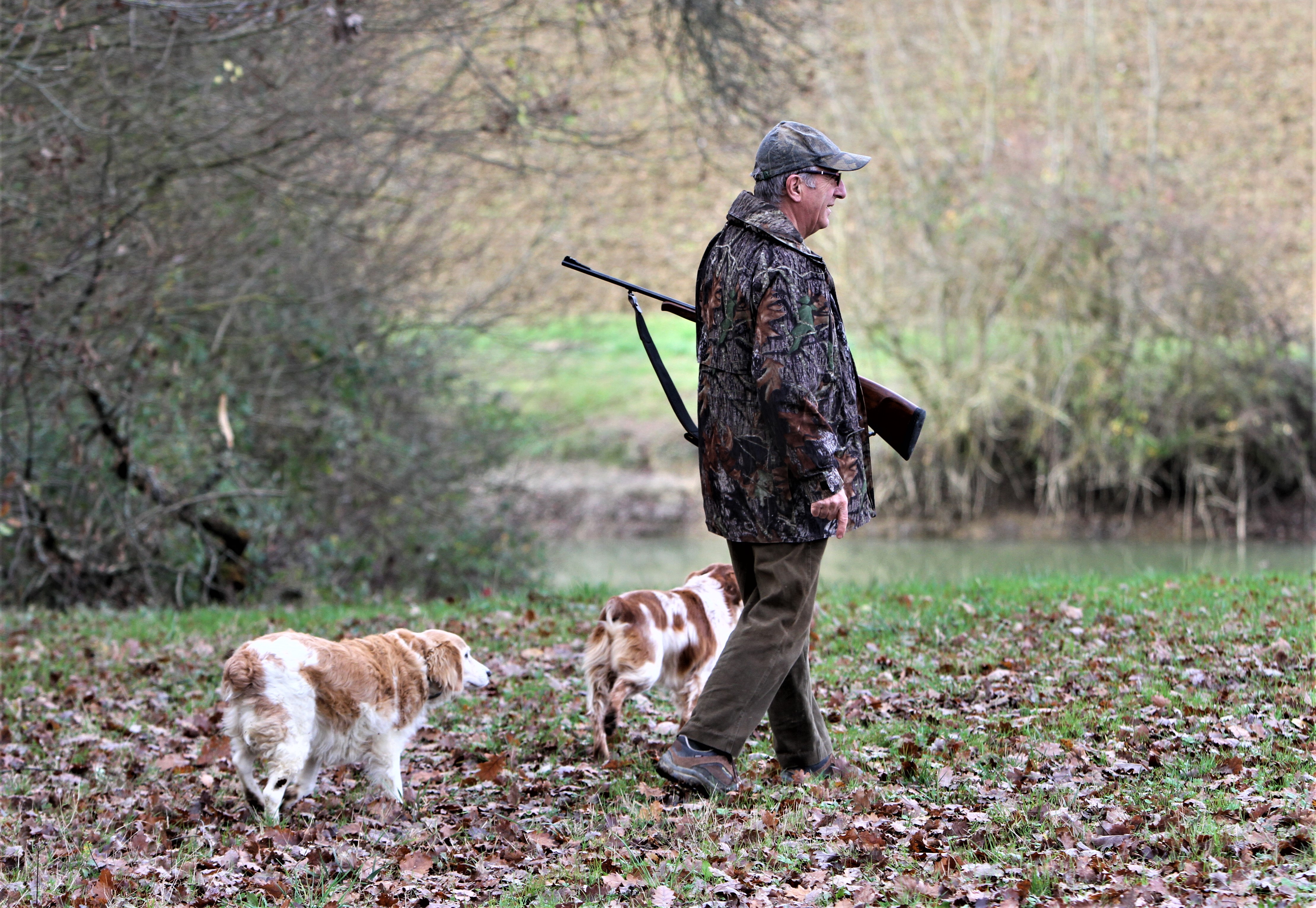De plus en plus de chasseur n'ont pas d'autres choix que de se tourner vers le gros gibier.
